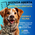 Aberta agenda para castração de cães e gatos