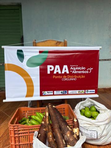 PAA Quilombola impulsiona economia tradicional e garante segurança alimentar em Corguinho